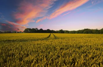 countryside-2326787_1920