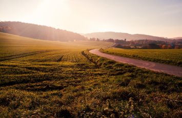field-1246620_1920
